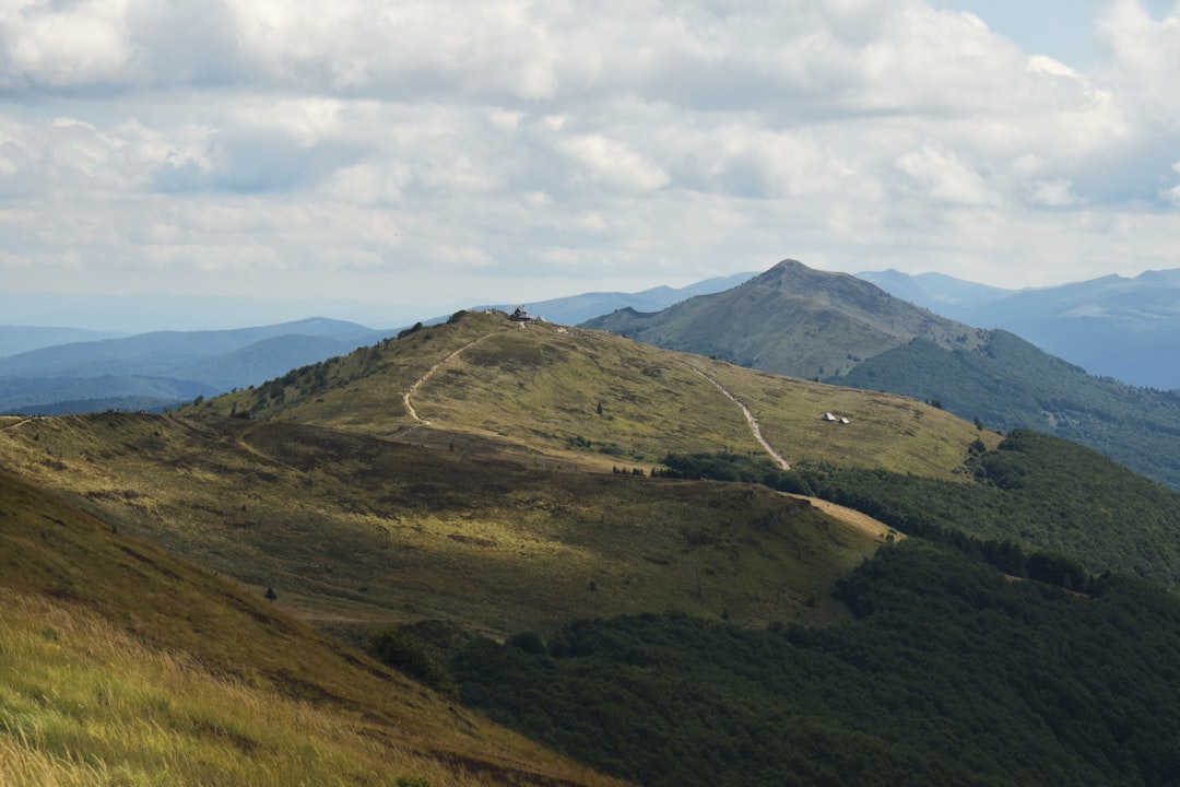 Rolling green ridgelines of the Bieszczady Mountains with a winding hiking trail, Poland