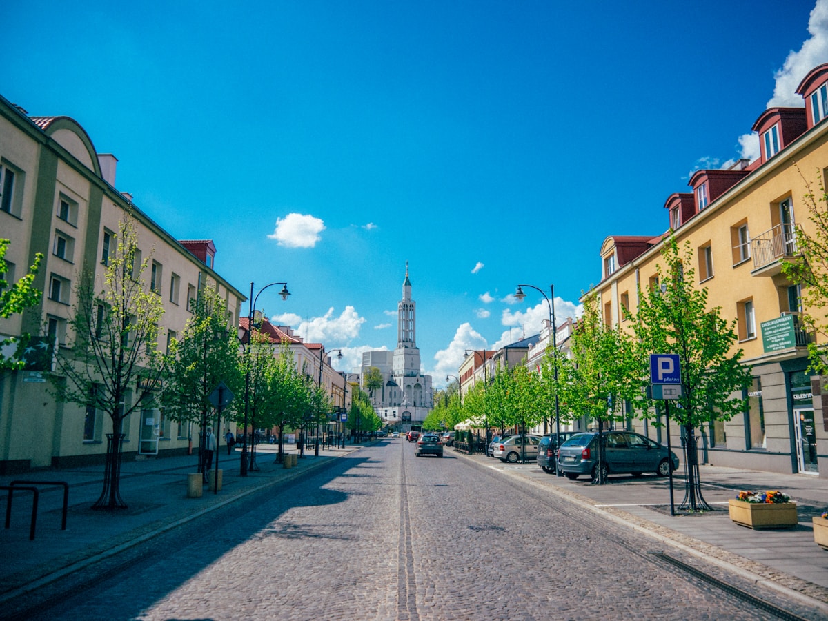 Tree-lined cobblestone street with residential buildings and church spire in a Polish town