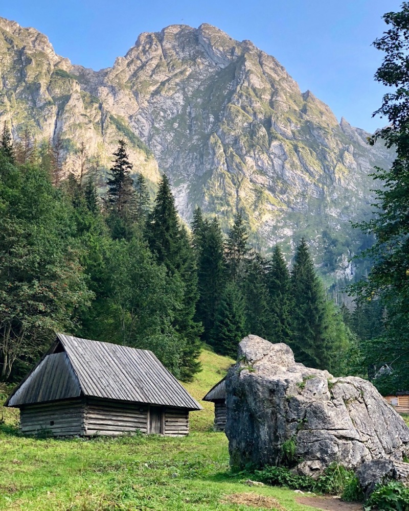 Traditional wooden highland hut surrounded by green trees and dramatic Tatra Mountain peaks near Zakopane, Poland