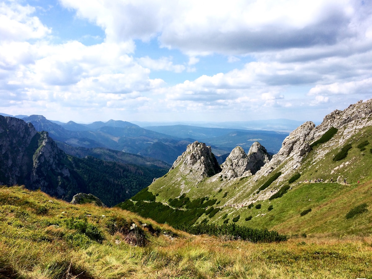 Green meadow and rocky Tatra Mountain peaks under blue sky near Zakopane, Poland