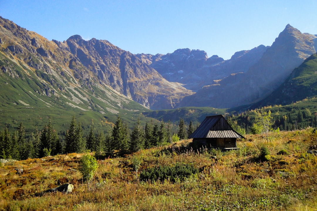 Traditional wooden architecture and mountain scenery in Zakopane, Tatra Mountains, Poland